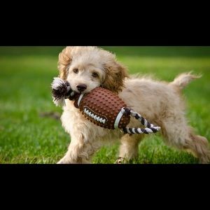 Meet your Posher, Cole